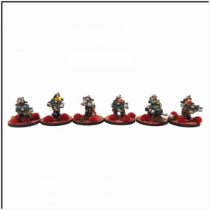 Dwarf Hearthguard - Pack 2