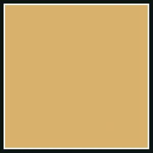 Weathering Pigment - Light Clay (20ml or 40ml)